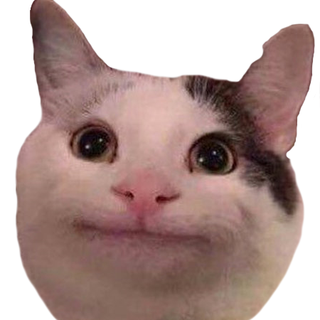 gato girando